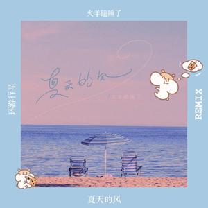 火羊瞌睡了-夏天的风（环游行星 Remix）（环游行星 remix）