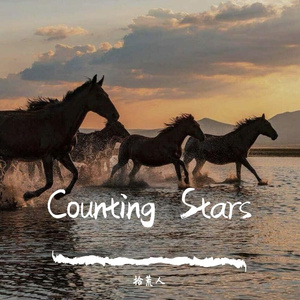 Various Artists-Counting Stars（拾荒人 / Mr. Meng remix）