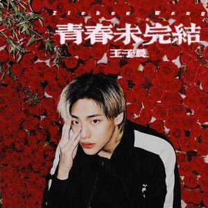 青春未完结