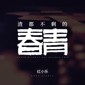 渣都不剩的青春