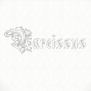 Narcissus