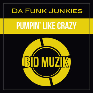 Pumpin' Like Crazy (Original Mix)