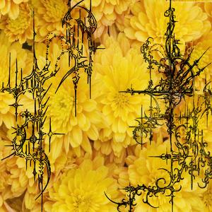 Chryzantemy Złociste (Trap Mix)