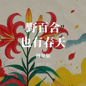 野百合也有春天 钢琴版