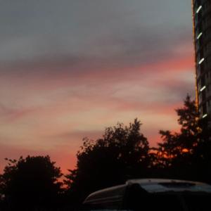 Rest in the evening