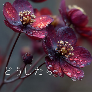 どうしたら