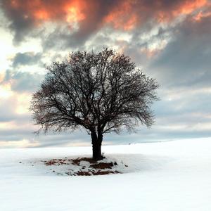 小心翼翼地隐藏我对你的爱