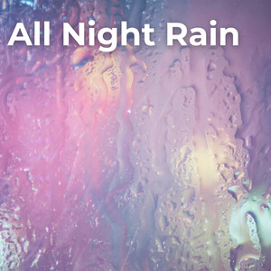 Jungley Day Rain In The Forest