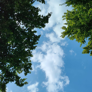 PRIVATE! // where did u go