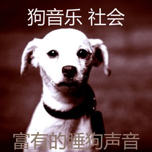 诗意的幼犬节奏