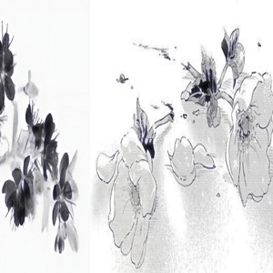 бесцветный цветок