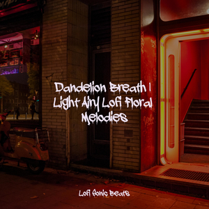 Mystery Melodies in the Night