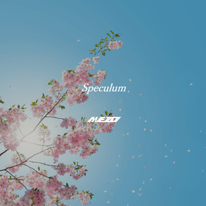 Speculum