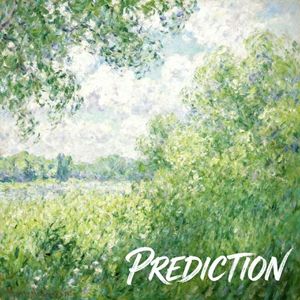 PREDICTION