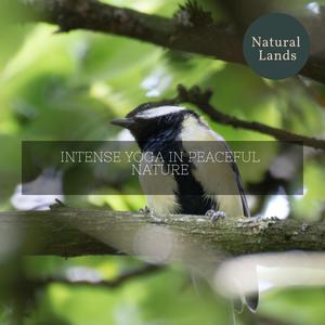 Fateful Day Near a Waterfall