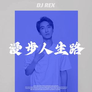 邓丽君-漫步人生路 Mastering最终版(1)（马亿 remix）
