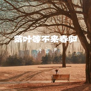 落叶等不来春归