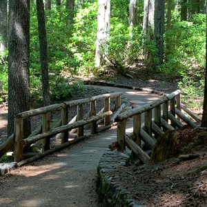 Levantarse (feat. Paolamadelaine)