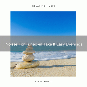 Mega Noises For Bizarre Take It Easy Evenings