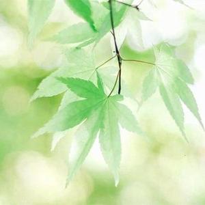 晴天