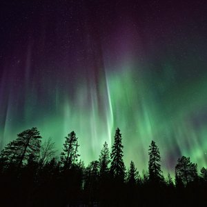 Northen Lights