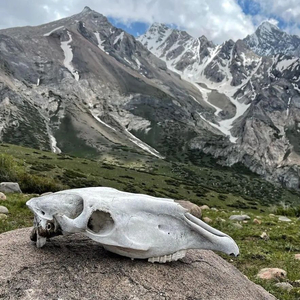 Тихий океан