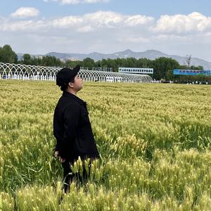 烟雨扬州(深情版）