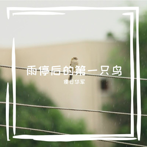 雨停后的第一只鸟