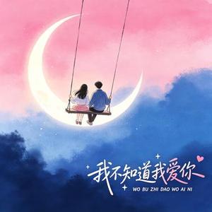 我不知道我爱你