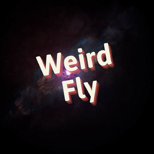 Weird Fly