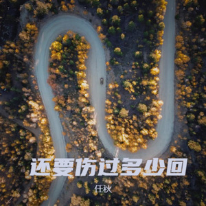 还要伤过多少回