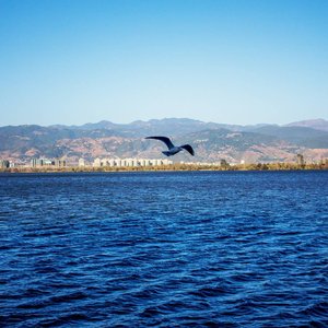 如果当时能晚点说爱