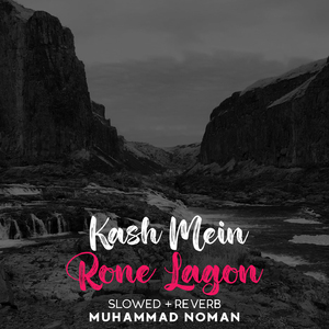 Kash Mein Rone Lagon Lofi