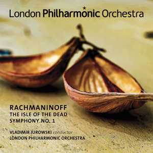 Symphony No. 1 in D Minor, Op. 13: II. Allegro animato