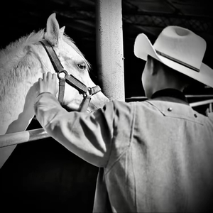 你像一艘忽远忽近的船