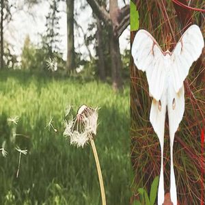 其實其實妳知道吧 (prod. xtasane)