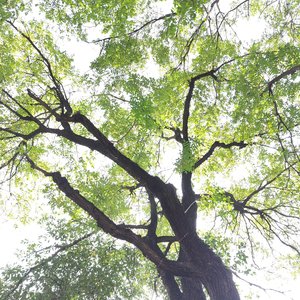 旧时光里的思念