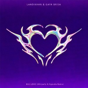 Big Love (Altriparty & Hypsidia Remix)