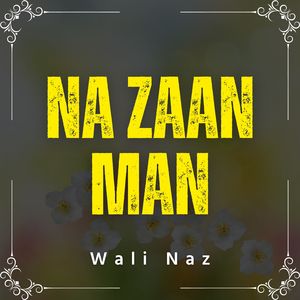 Na Zaan Man