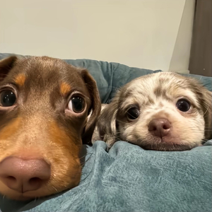 晨光中的历史回响