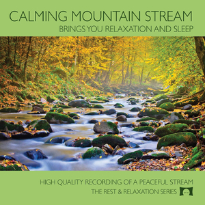 Calming Mountain Stream