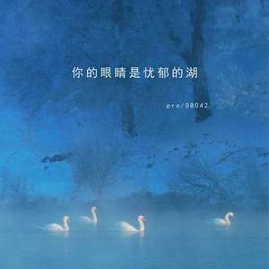 你的眼睛是忧郁的湖 (伴奏)