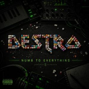 Numb To Everything