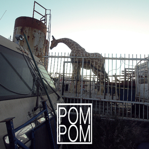 Pom Pom