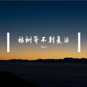 枯树等不到复活