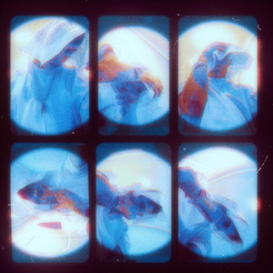 Только уснул