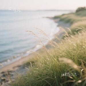 细草微风岸