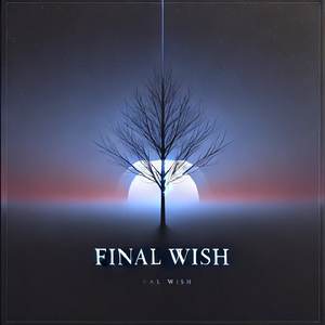 Final wish