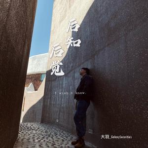 后知后觉（Konw afterwards)