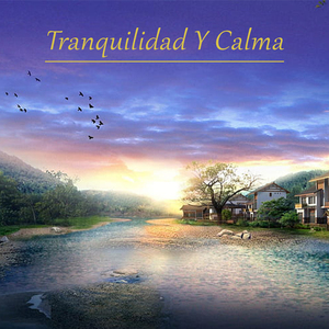 Mejora Tu Estado De Ánimo